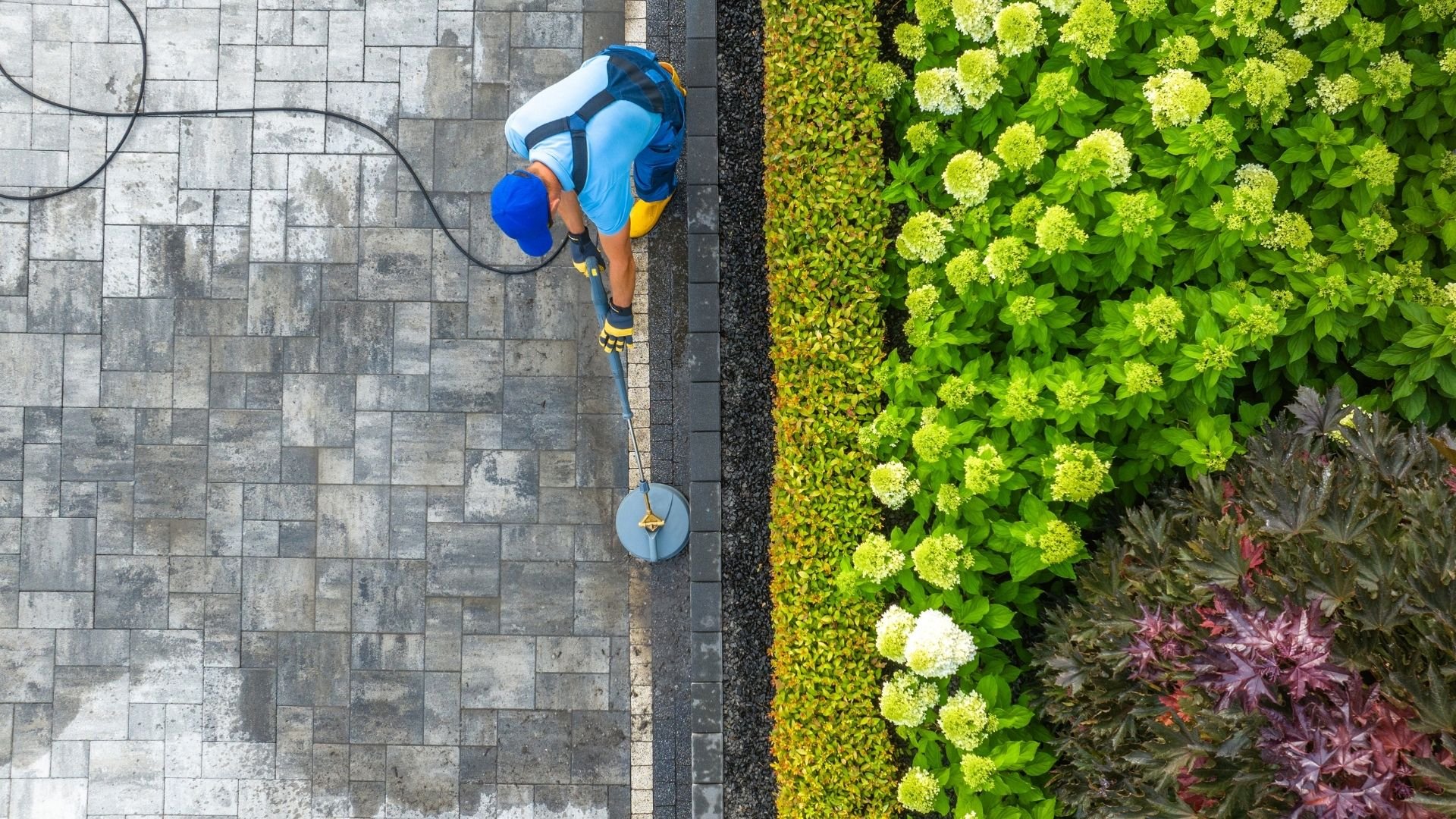 Runner in blue gear jogging on pavement next to vibrant green flowering plants.